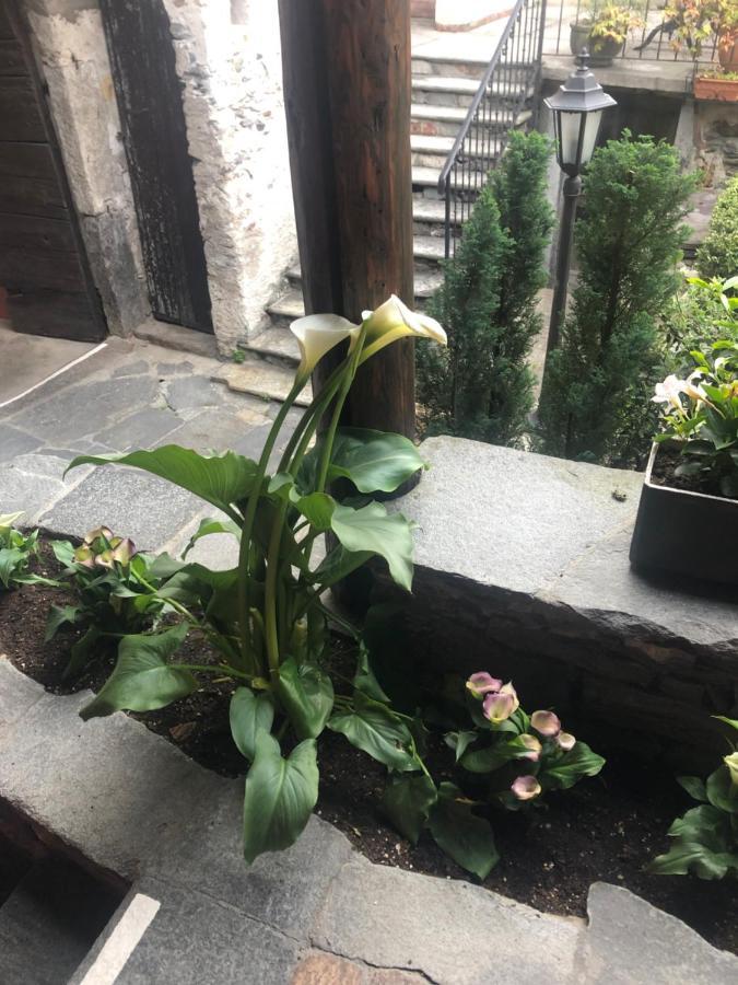 Garni Degli Angioli Hotel Ascona